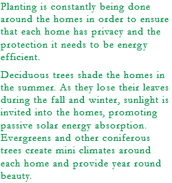 Planting is constantly being done around the homes in order to ensure that each home has privacy and the protection it needs to be energy efficient. Deciduous trees shade the homes in the summer. As they lose their leaves during the fall and winter, sunlight is invited into the homes, promoting passive solar energy absorption. Evergreens and other coniferous trees create mini climates around each home and provide year round beauty.